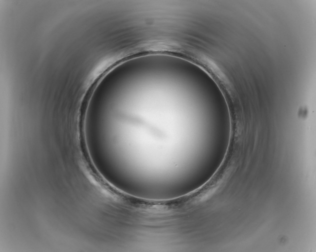 X0000091930986200709121555