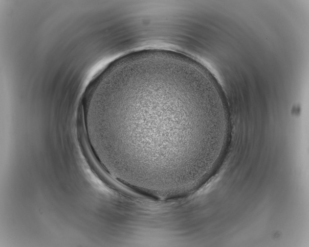 X0000091930987200709121555