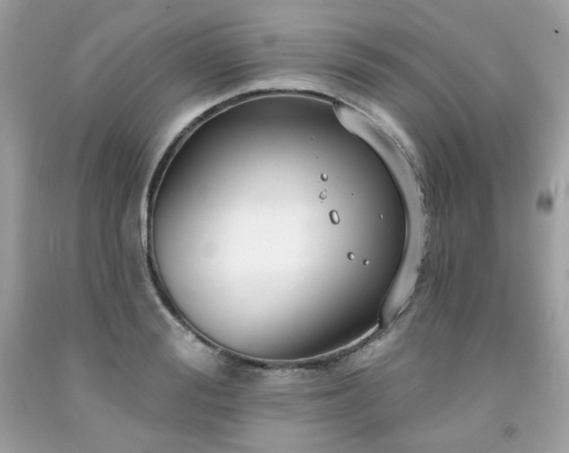 X0000091930988200709121555