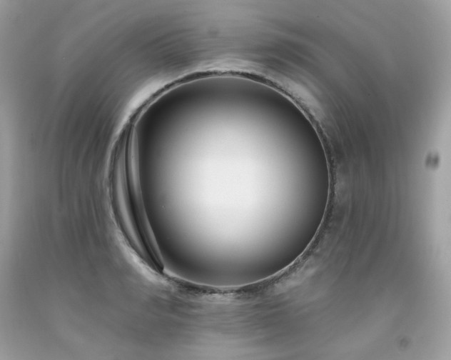 X0000091930990200709121555
