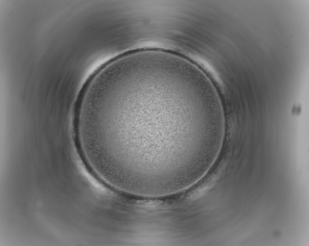 X0000091930991200709121555