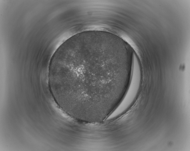 X0000091930994200709121555