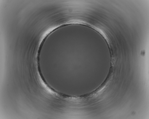 X0000091930995200709121555