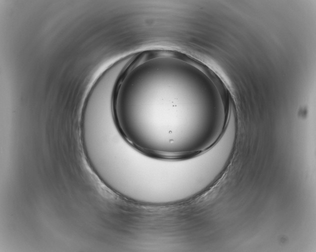 X0000091930996200709121555