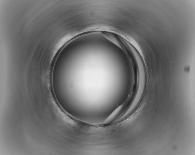X0000091930997200709121555
