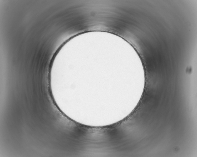 X0000091931000200709121555