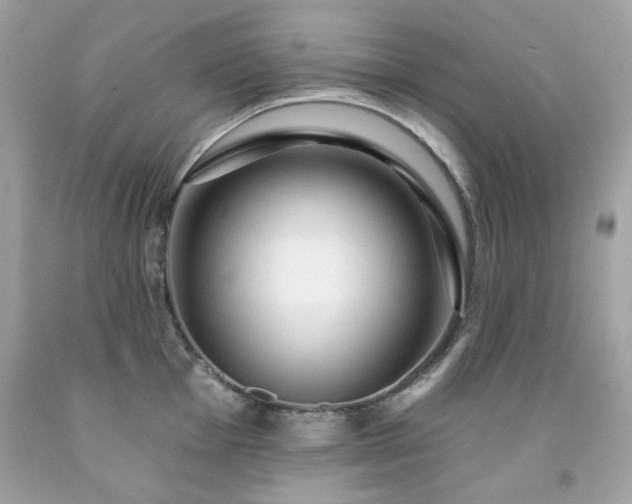 X0000091931001200709121555
