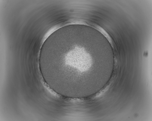 X0000091931002200709121555