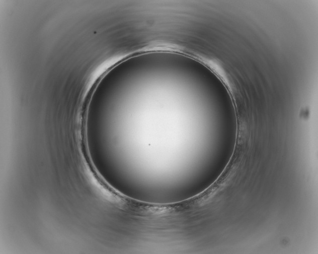 X0000091931003200709121555
