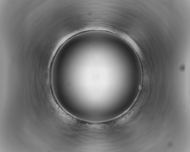 X0000091931004200709121555
