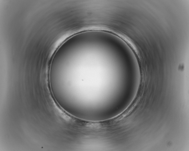 X0000091931006200709121555