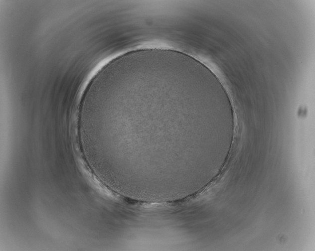 X0000091931008200709121555