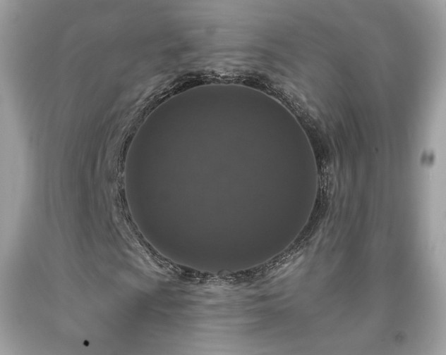 X0000091931009200709121554
