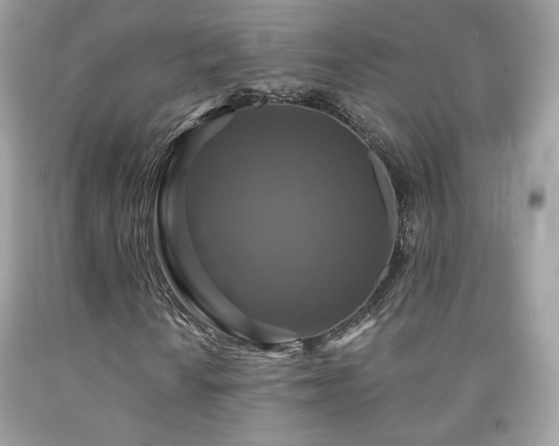 X0000091931010200709121554