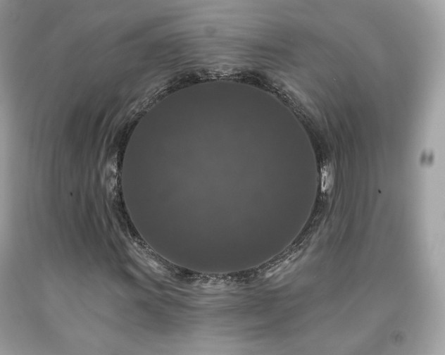 X0000091931011200709121554