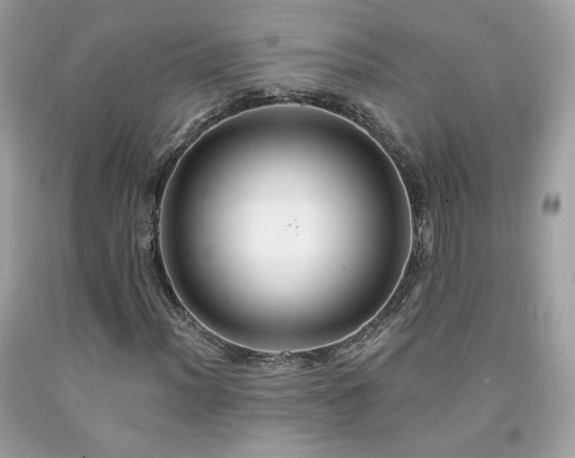 X0000091931012200709121554
