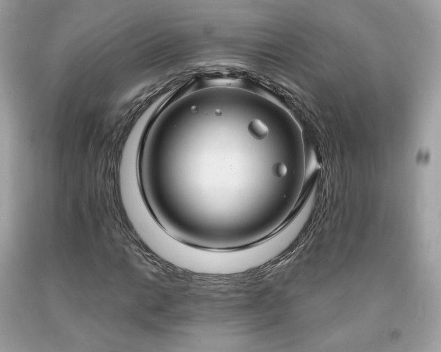 X0000091931014200709121554
