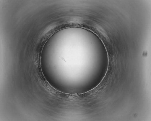 X0000091931015200709121554