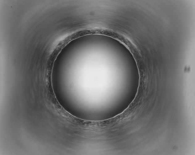 X0000091931016200709121554