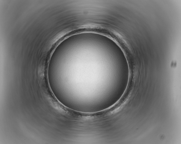 X0000091931017200709121554