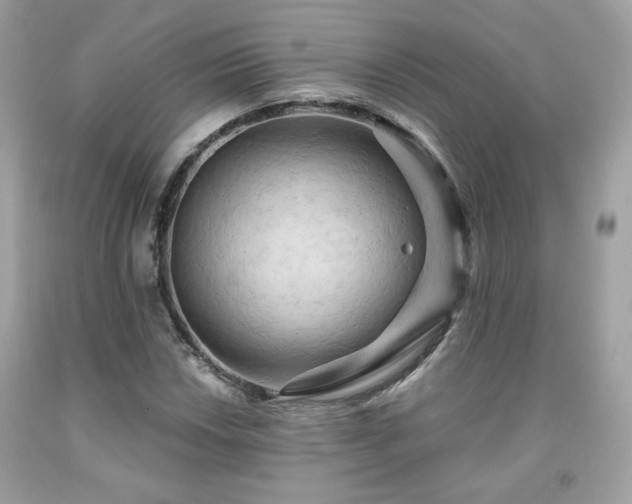 X0000091931018200709121554