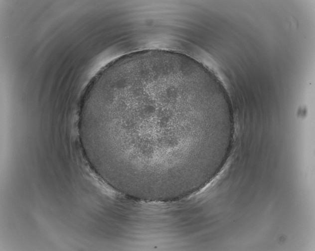 X0000091931019200709121554