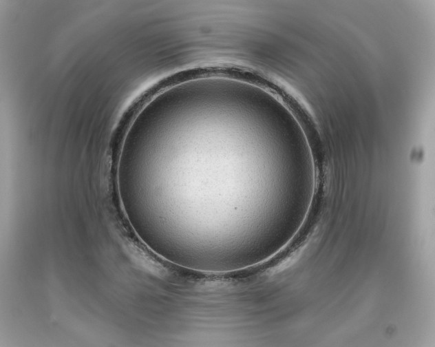X0000091931021200709121554