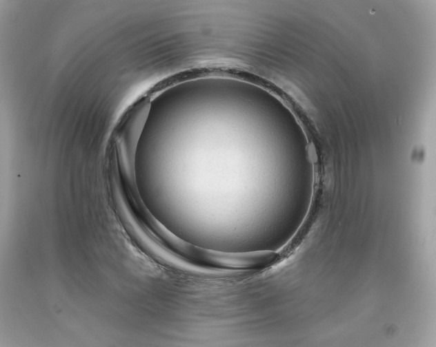 X0000091931022200709121554