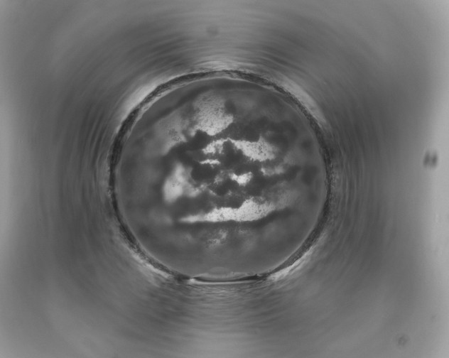 X0000091931023200709121555