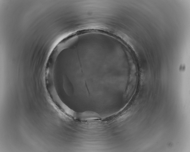 X0000091931024200709121555