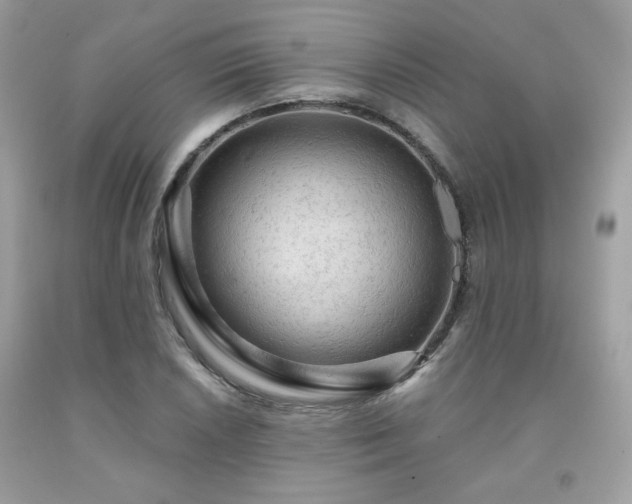 X0000091931026200709121555