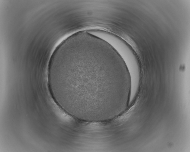 X0000091931028200709121555