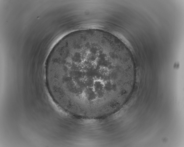 X0000091931031200709121555