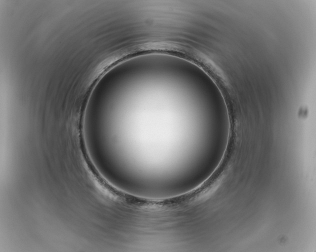 X0000091931033200709121555