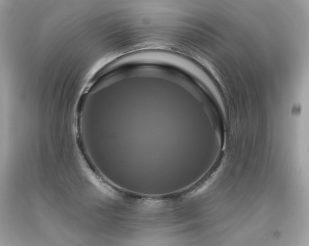 X0000091931034200709121555