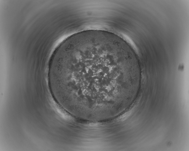 X0000091931035200709121555
