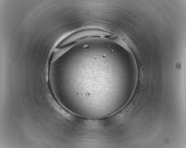 X0000091931036200709121555