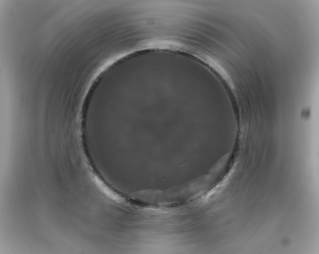 X0000091931037200709121555