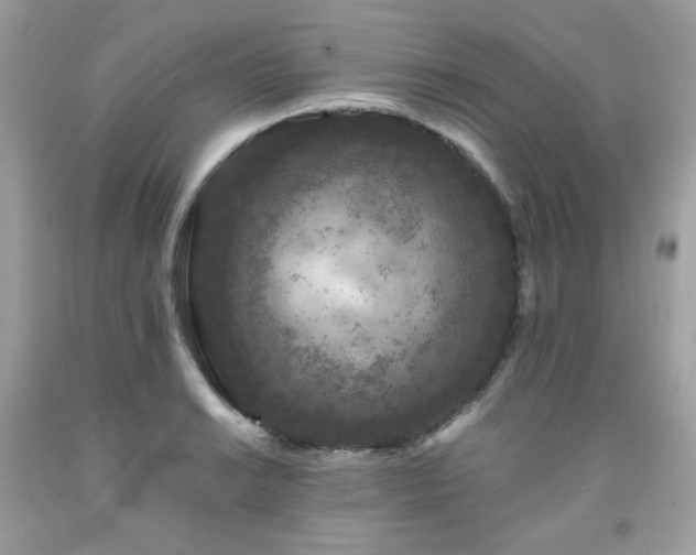 X0000091931038200709121555