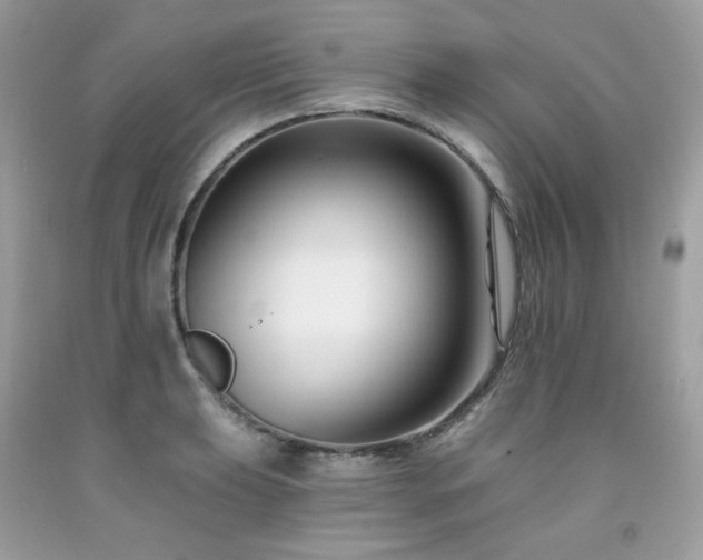 X0000091931039200709121555