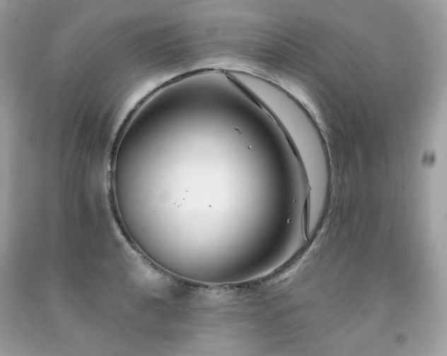 X0000091931040200709121555