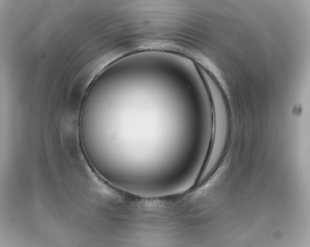 X0000091931041200709121555