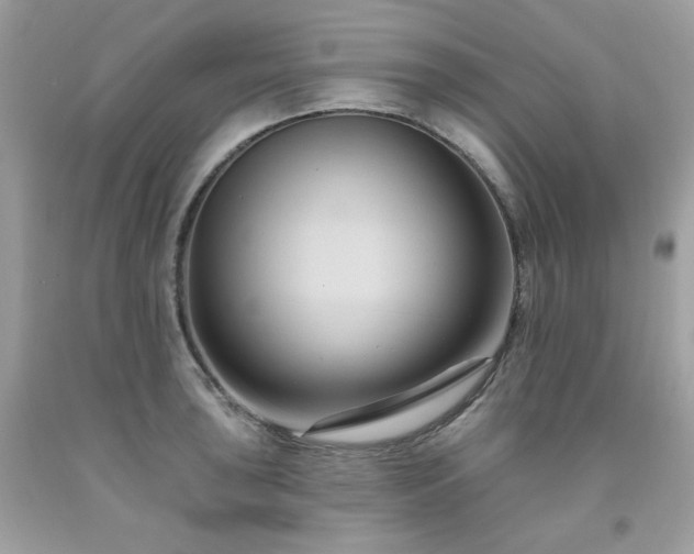 X0000091931043200709121555