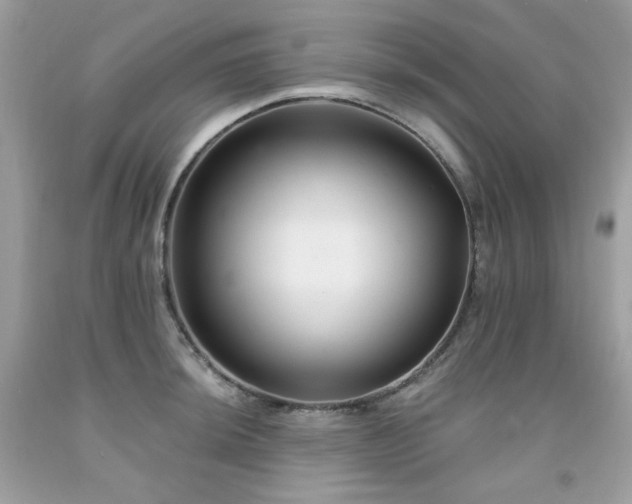 X0000091931044200709121555