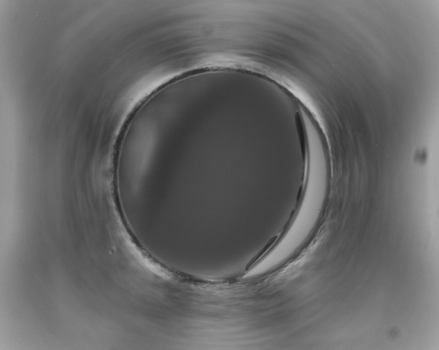 X0000091931045200709121555