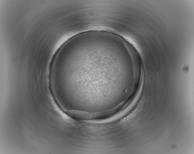 X0000091931046200709121555