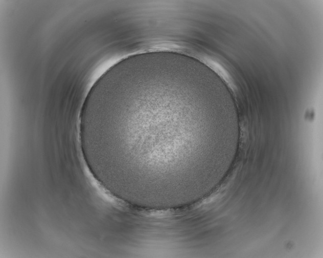 X0000091931047200709121555