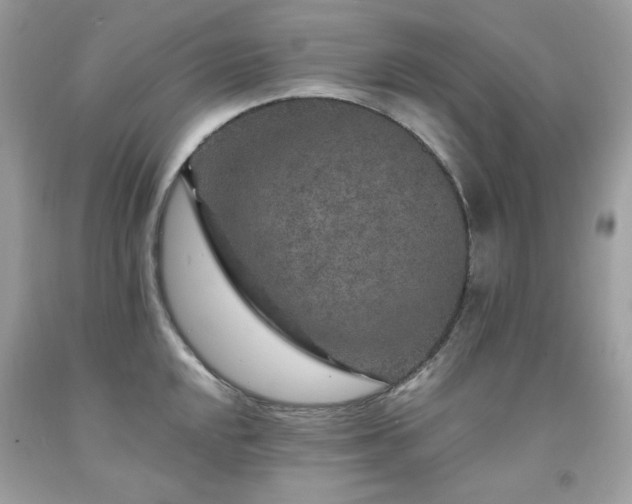 X0000091931048200709121555