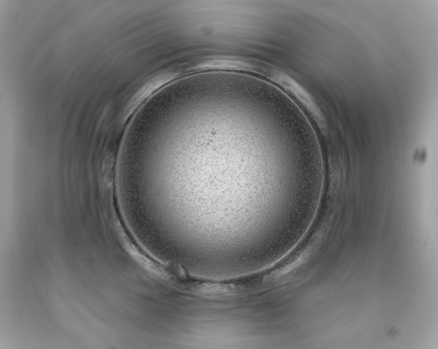 X0000091931049200709121555