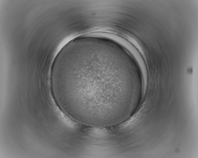 X0000091931050200709121555